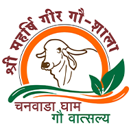 maharshidaduram